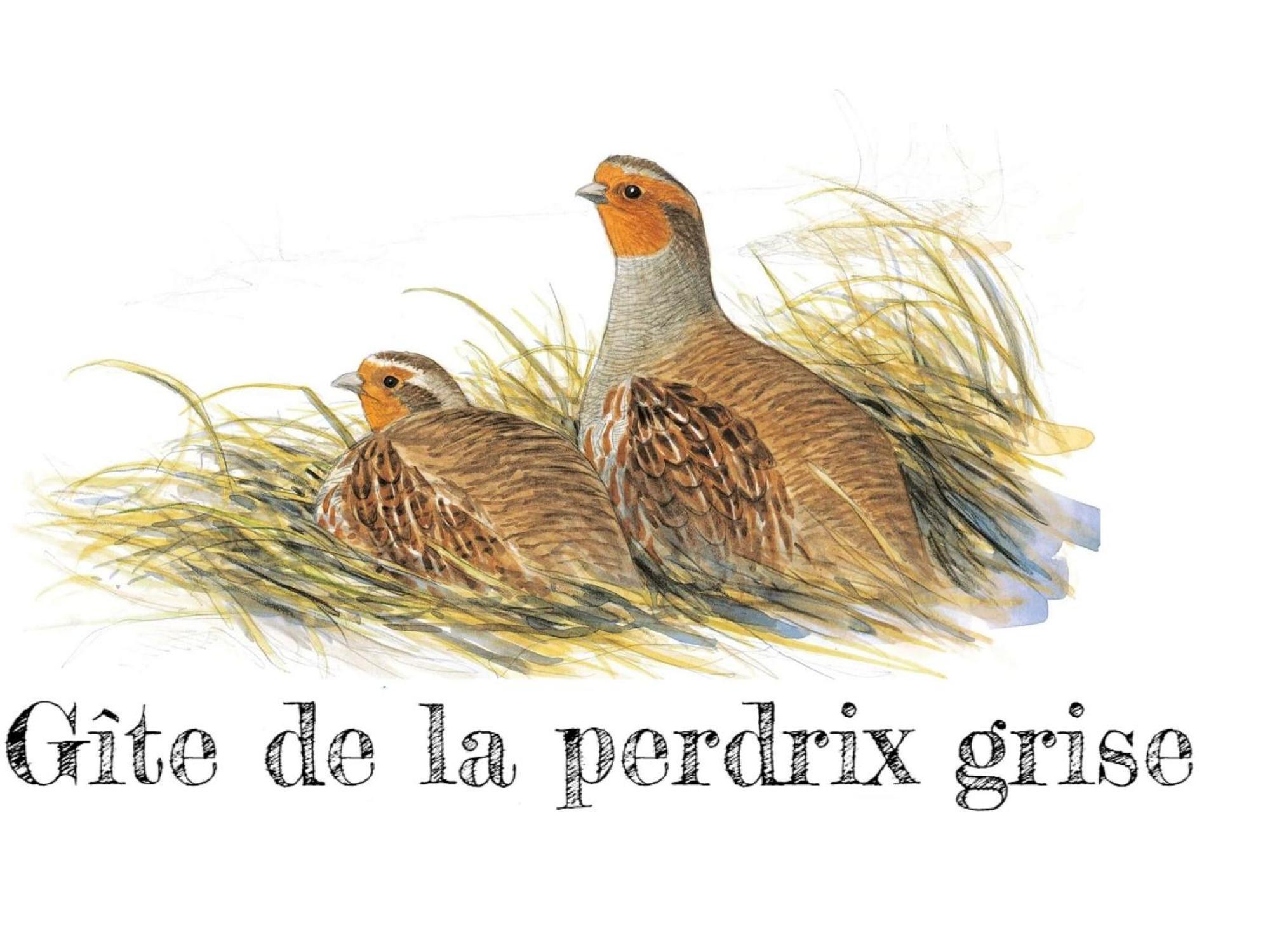 Charmante Maison De Campagne Avec Jardin Prive, Pres De Paris Et Orleans, Ideale Pour Familles - Fr-1-590-136 Audeville Exteriér fotografie